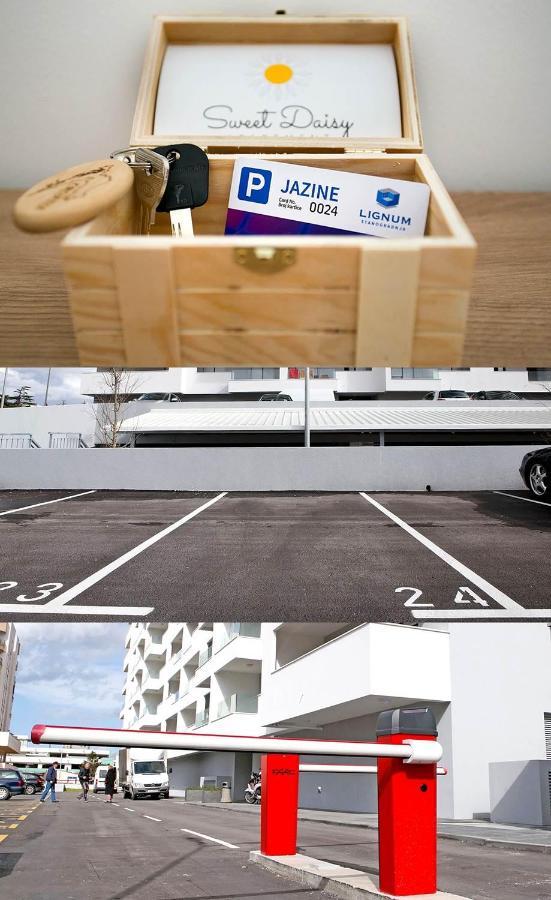 Apartment Sweet Daisy With Parking Zadar Dış mekan fotoğraf